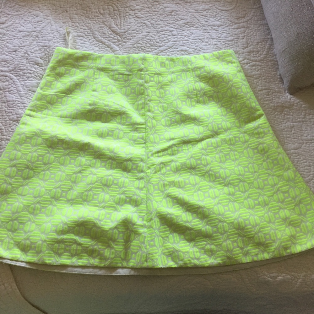 J. Crew skirt